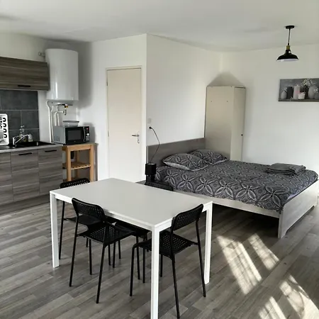 Avec Terrasse A Proximite De Apartamento Metz